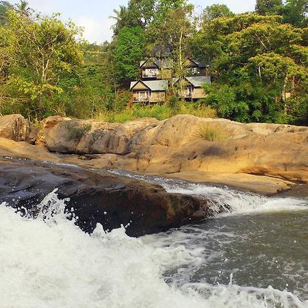 Moselberg Riverside Cottages Munnar Exterior foto
