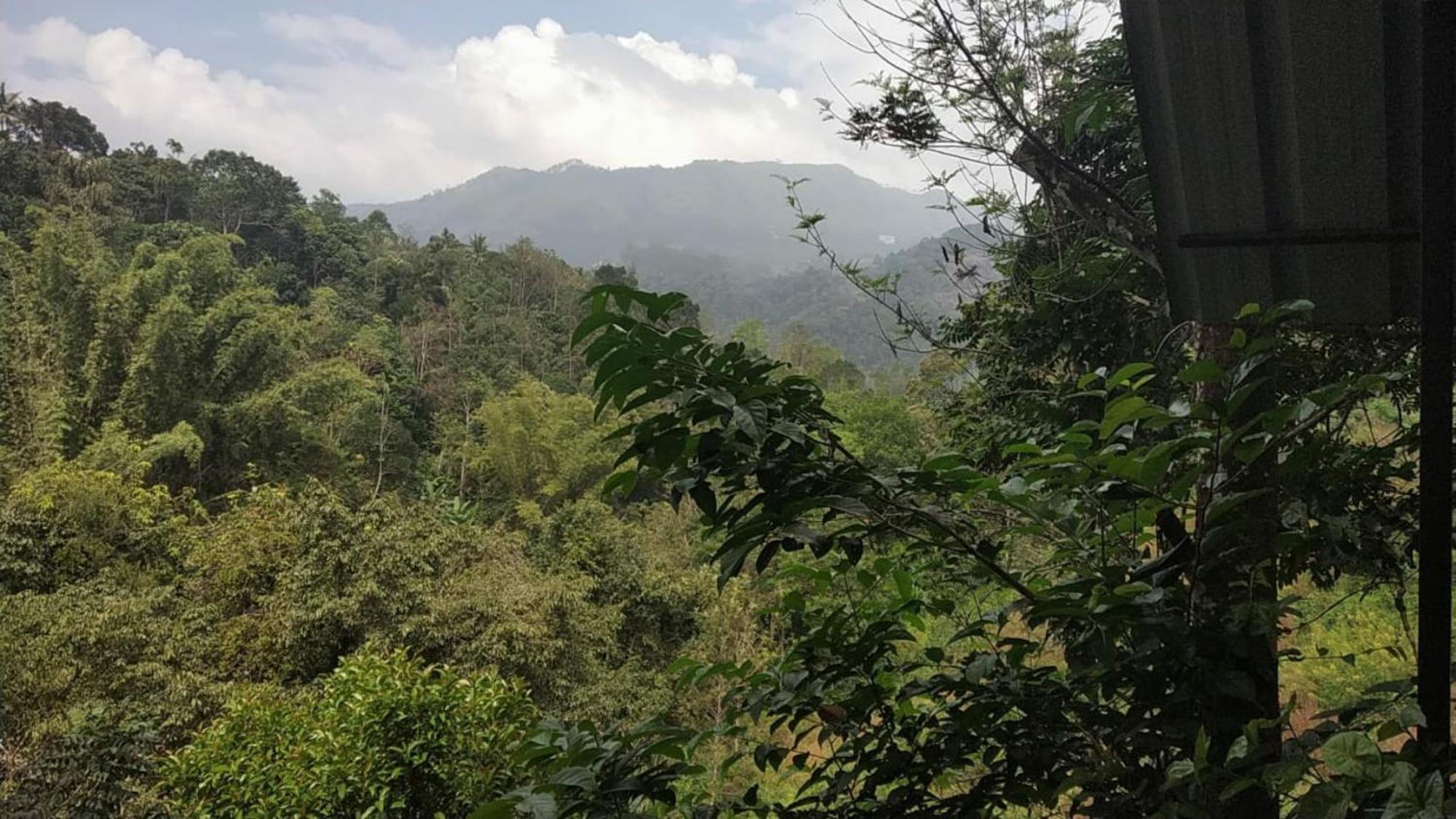 Moselberg Riverside Cottages Munnar Cameră foto