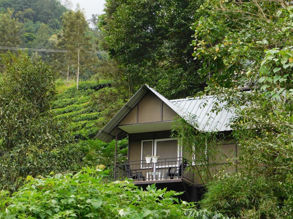 Moselberg Riverside Cottages Munnar Exterior foto