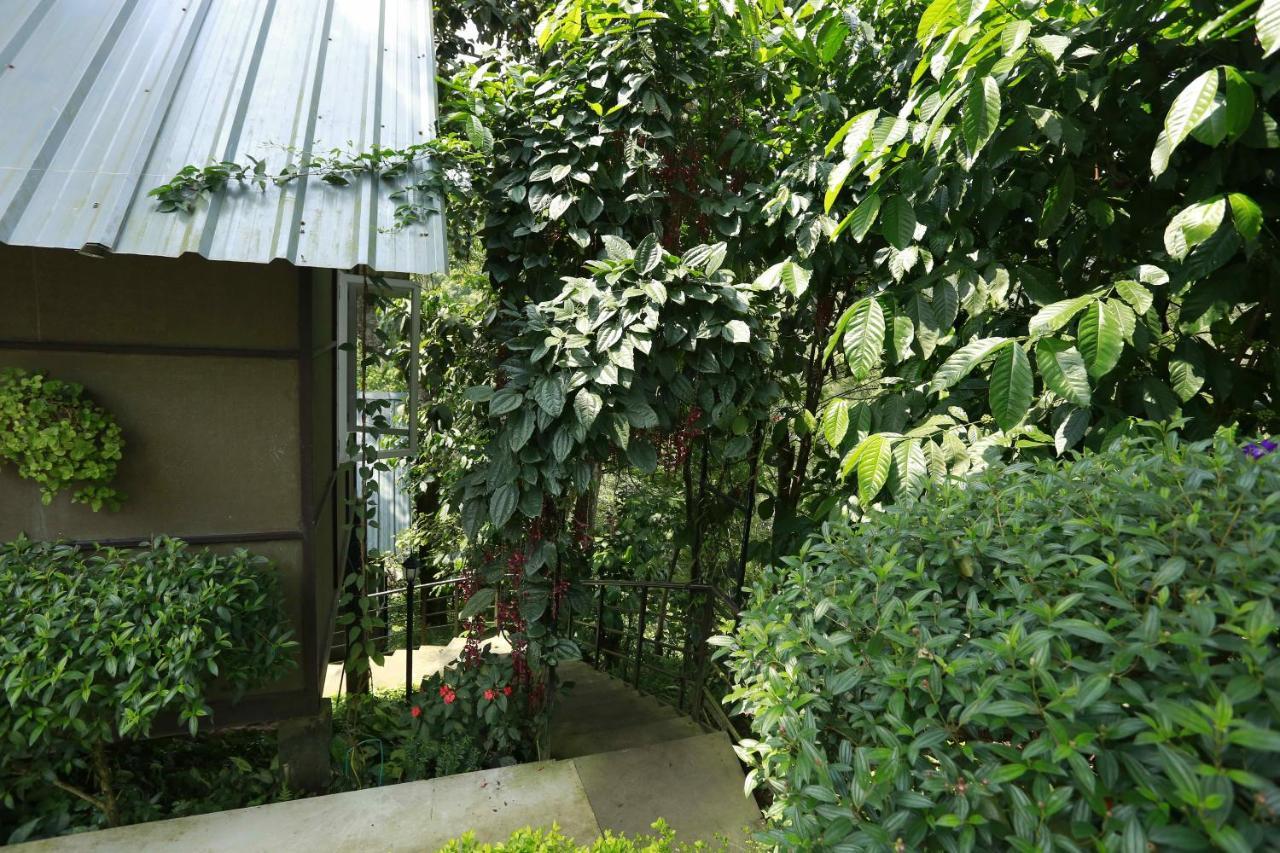 Moselberg Riverside Cottages Munnar Exterior foto